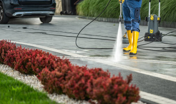 Best Affordable Power Washing  in Littlerock, CA