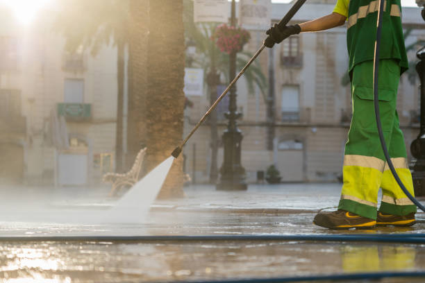Best Residential Pressure Washing Services  in Littlerock, CA